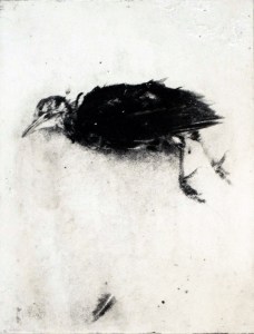 Etsen/D112_astrid_vredegoor_Dood_vogeltje_vliegt_weg__etching_heliogravure